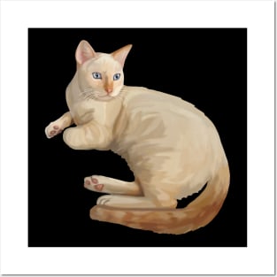 Cute Flame Point Siamese Cat Posters and Art